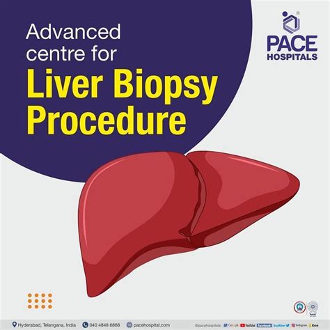 Liver Biopsy Procedure in Hyderabad – Types, Indications and Cost