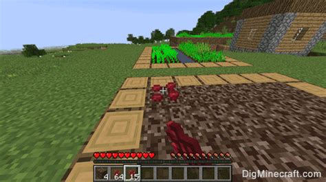 How to Make a Nether Wart Farm in Minecraft