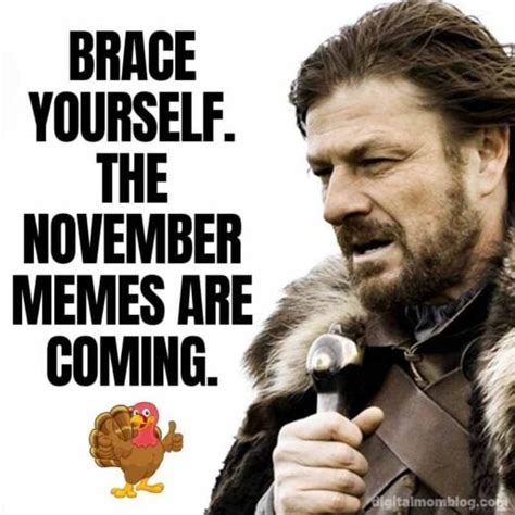 Best November Memes 2024: Celebrating Humor And Gratitude