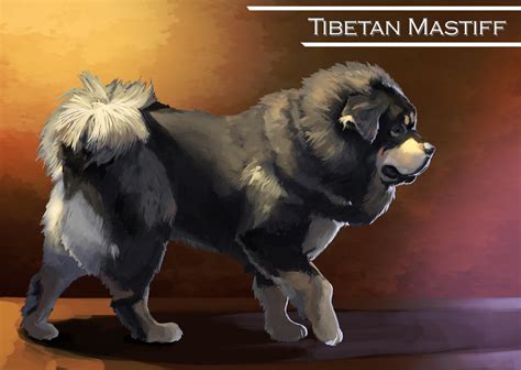 Tibetan Mastiff by DarkKenjie on DeviantArt