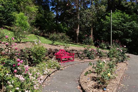 Tamborine Mountain Regional Botanic Gardens