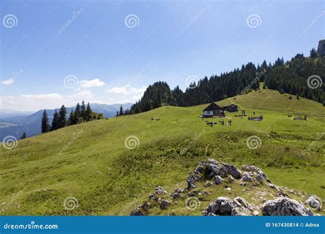 Tourist Visiting the Piatra Mare Cabana and the Landscape Stock Photo ...