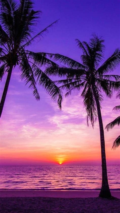 20+ iPhone Wallpapers HD Quality - Free Download! | Sunset wallpaper ...