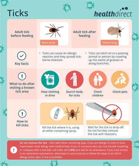 Tick bites - symptoms, treatments and prevention | healthdirect