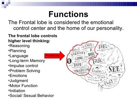 Functions The Frontal lobe is considered the emotional control center ...