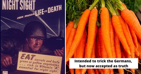 The Myth That Carrots Are Good For Your Eyes Came From A WWII ...