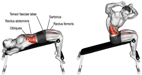 Comment effectuer l'exercice crunch sur banc en musculation ? | Abs ...