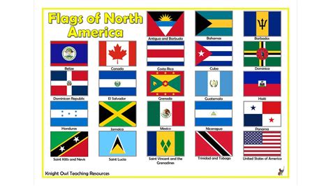 Flags of North America Poster