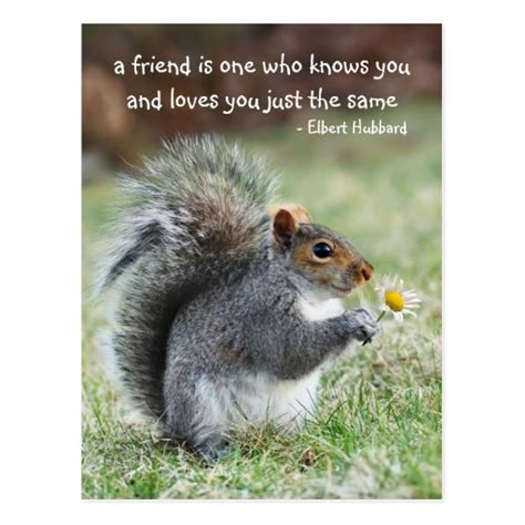 Squirrel Quotes. QuotesGram