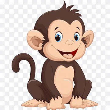 Monkey png images | PNGWing