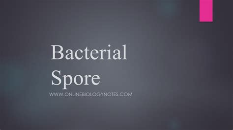 Bacterial Spore: structure, types, sporulation and germination