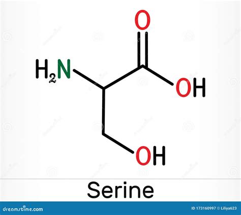 Serine, Ser Amino Acid Molecule. it is Used in the Biosynthesis of ...