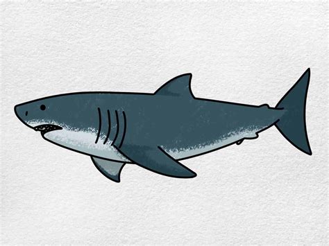 Easy Shark Drawing - HelloArtsy