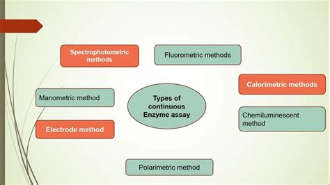 Enzyme Assay - YouTube