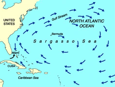 The Sargasso Sea – a Sea of Mystery - 10-4 Magazine