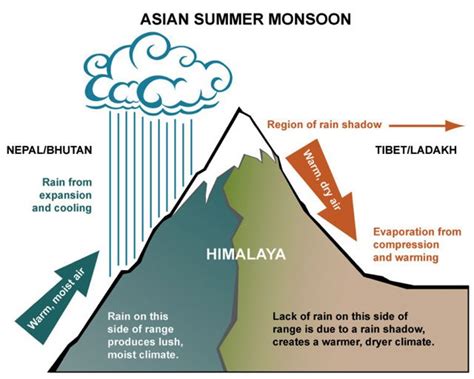 A generalized cross section of the Himalayas showing Monsoon Action ...