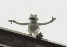 Frog Jumping GIFs | Tenor