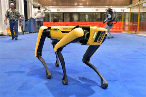 La police de New York déploie un chien robot