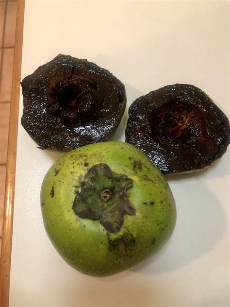 Black sapote (chocolate pudding fruit) : r/Fruitarian