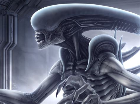 Ultramorph-Alien II | Alien concept art, Alien vs predator, Xenomorph