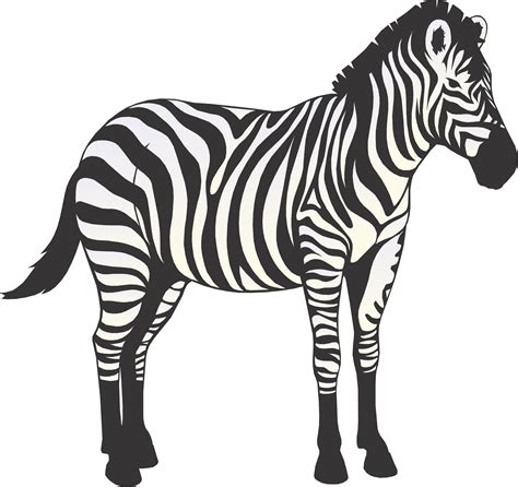 Free Zebra Cartoon, Download Free Zebra Cartoon png images, Free ...