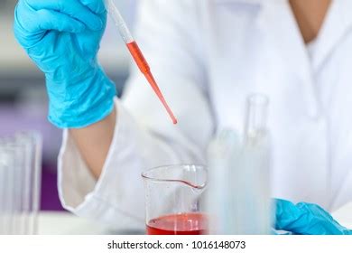 Chemical Analysis Lab Stock Photo 1016148073 | Shutterstock