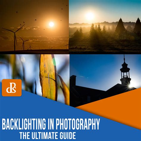 Backlighting in Photography: The Ultimate Guide to Beautiful Backlit Images