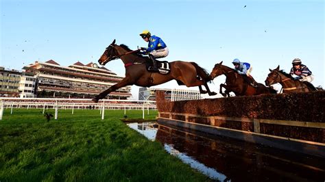 Newbury racing top tip: Hermes Allen and Marble Sands to renew hurdling ...