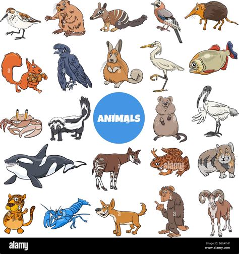 Cartoon illustration of funny wild animal species characters big set ...