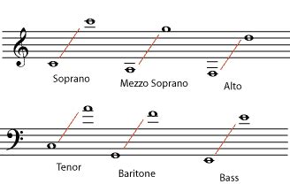 Contact Support | Vocal range, Voice lesson, Music appreciation