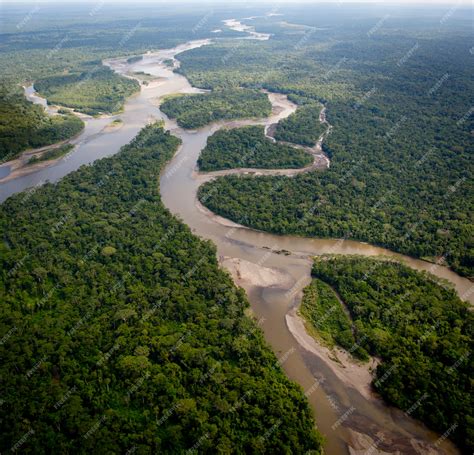 Premium Photo | Aerial view over amazon rainforest