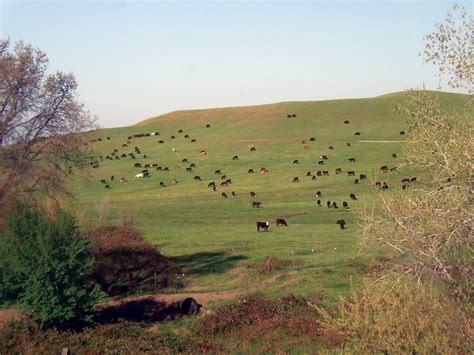 Cow Creek Watershed – Sacramento River Watershed Program