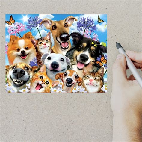 Cute and Funny Animals Postcard Set 4 Postcards 130 Thick | Etsy