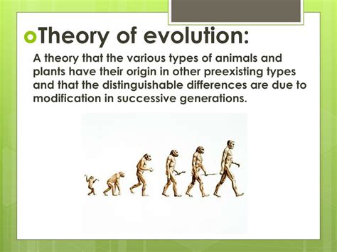 PPT - Theory of evolution: PowerPoint Presentation, free download - ID ...