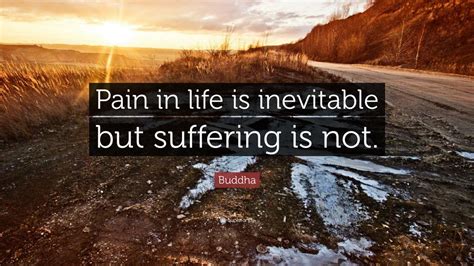 Buddha Quote: “Pain in life is inevitable but suffering is not.” (7 ...