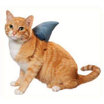 Cat Accessories | Cat halloween costume, Pet halloween costumes, Pet ...