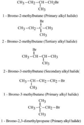 Alkyl Halide Examples