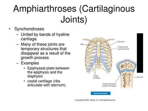 PPT - Articulations Chapter 9 PowerPoint Presentation, free download ...