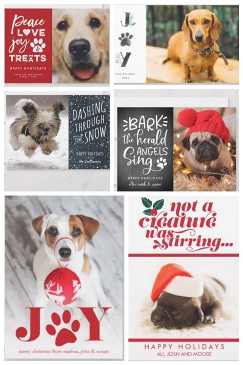 Pet Lover Holiday Photo Cards | Dog & Cat Christmas Cards ...