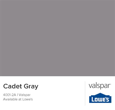 Cadet Gray from Valspar | Valspar, Valspar paint colors, Valspar paint