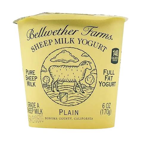 Plain Sheep Milk Yogurt, 6 oz at Whole Foods Market