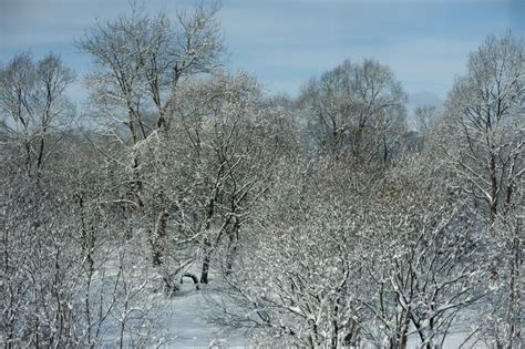 Hadean Atmosphere and Climate - Terrestrial Planets - Fossil Hunters