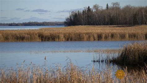 Minnesota's Northwest Angle, an American geographic oddity - CBS News