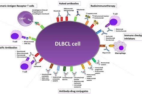 Battle for Breakthrough in Large b Cell Lymphoma Treatment