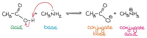 Bronsted-Lowry Theory — Organic Chemistry Tutor