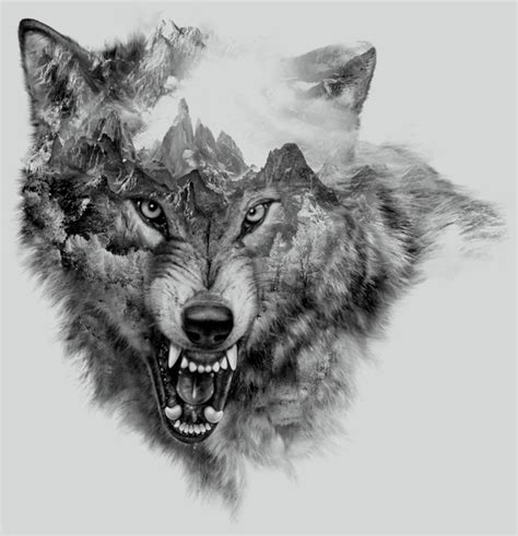 Wolf Collage | printed tee design for Zara on Behance