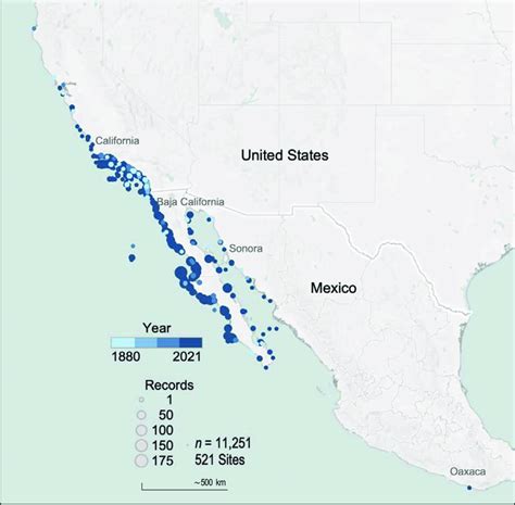 FIGURE S1. Giant sea bass (GSB) geographic distribution map based on ...