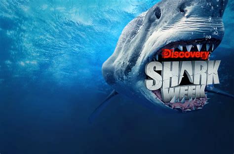 Shark Week 2023 On Discovery Channel Preview