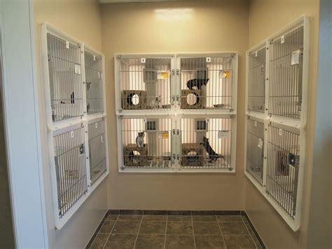 Shelter Planners - Blog - Forsyth County, Georgia Animal Shelter