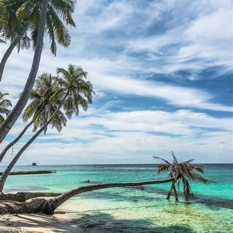 And here it goes again "The Palm Tree" on Maafushi Maldives. This was ...